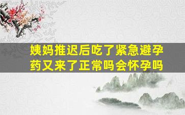 姨妈推迟后吃了紧急避孕药又来了正常吗会怀孕吗