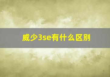 威少3se有什么区别