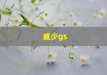 威少gs