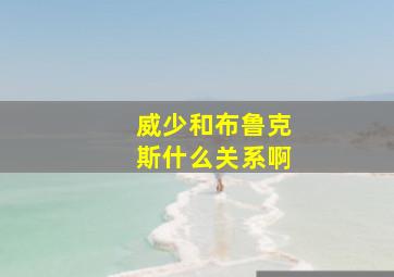 威少和布鲁克斯什么关系啊