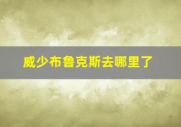 威少布鲁克斯去哪里了