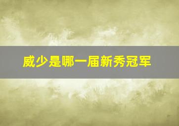 威少是哪一届新秀冠军