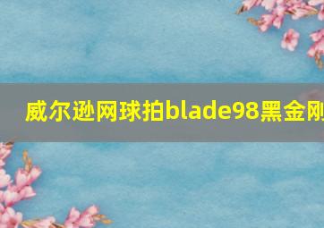 威尔逊网球拍blade98黑金刚