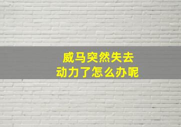 威马突然失去动力了怎么办呢