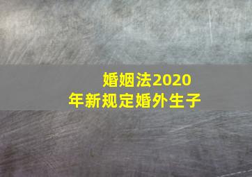 婚姻法2020年新规定婚外生子