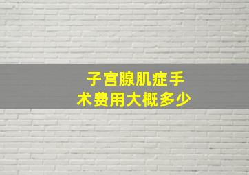 子宫腺肌症手术费用大概多少