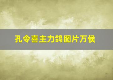 孔令喜主力鸽图片万侯