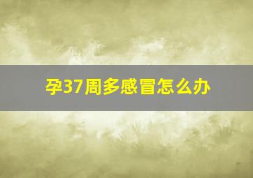 孕37周多感冒怎么办