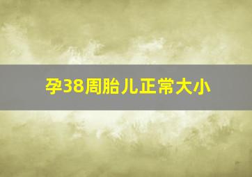 孕38周胎儿正常大小