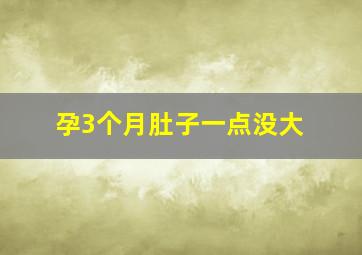 孕3个月肚子一点没大