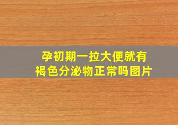 孕初期一拉大便就有褐色分泌物正常吗图片