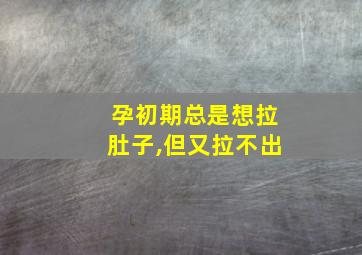 孕初期总是想拉肚子,但又拉不出