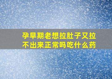 孕早期老想拉肚子又拉不出来正常吗吃什么药