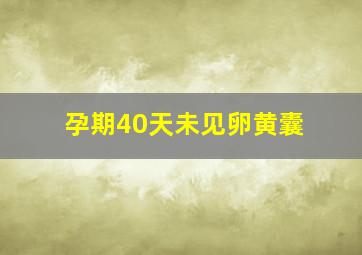 孕期40天未见卵黄囊