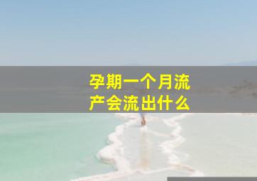 孕期一个月流产会流出什么