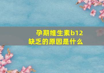 孕期维生素b12缺乏的原因是什么