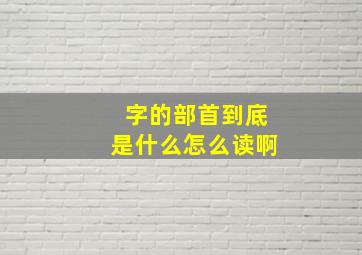 字的部首到底是什么怎么读啊