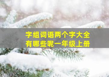 字组词语两个字大全有哪些呢一年级上册