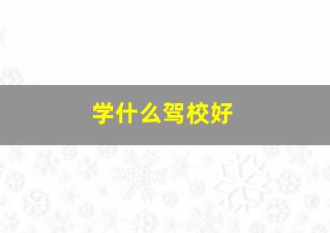 学什么驾校好