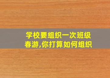 学校要组织一次班级春游,你打算如何组织