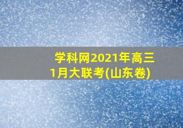 学科网2021年高三1月大联考(山东卷)