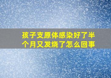 孩子支原体感染好了半个月又发烧了怎么回事