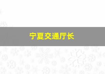 宁夏交通厅长