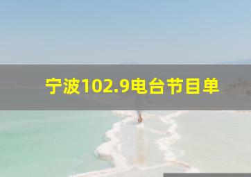 宁波102.9电台节目单