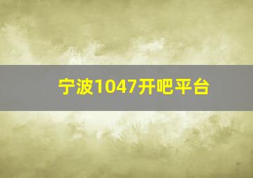 宁波1047开吧平台