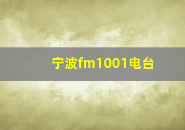 宁波fm1001电台