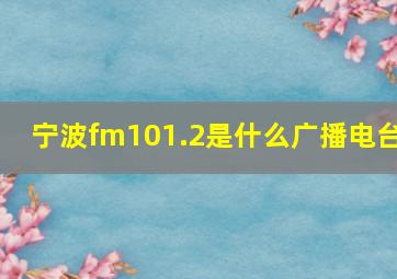 宁波fm101.2是什么广播电台