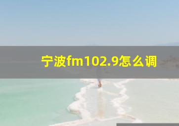 宁波fm102.9怎么调