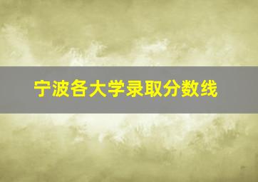 宁波各大学录取分数线