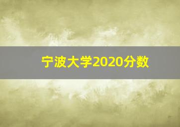 宁波大学2020分数