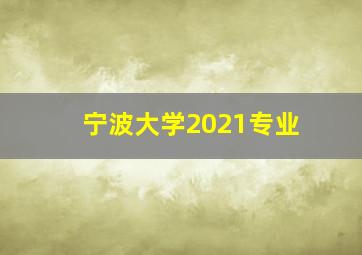 宁波大学2021专业