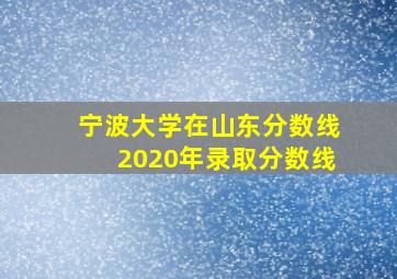 宁波大学在山东分数线2020年录取分数线