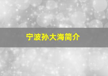 宁波孙大海简介