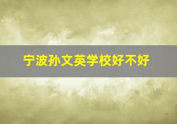 宁波孙文英学校好不好