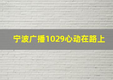 宁波广播1029心动在路上