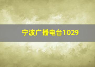 宁波广播电台1029