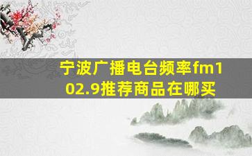 宁波广播电台频率fm102.9推荐商品在哪买