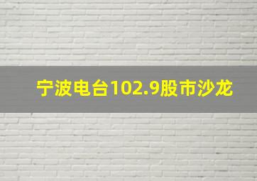 宁波电台102.9股市沙龙