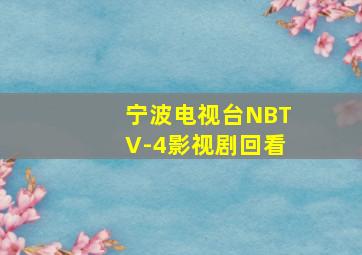 宁波电视台NBTV-4影视剧回看