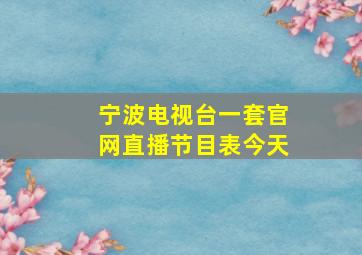 宁波电视台一套官网直播节目表今天