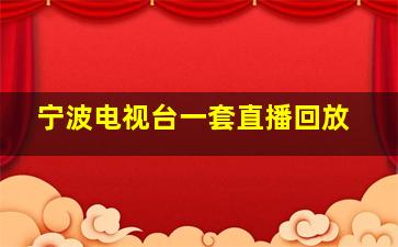 宁波电视台一套直播回放