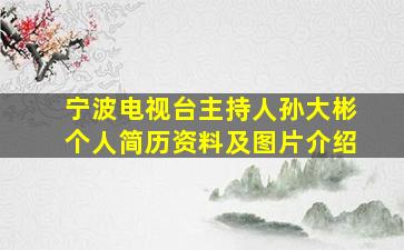 宁波电视台主持人孙大彬个人简历资料及图片介绍