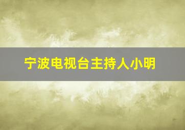 宁波电视台主持人小明