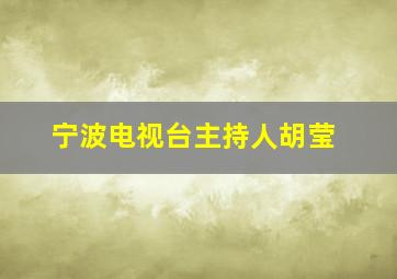 宁波电视台主持人胡莹