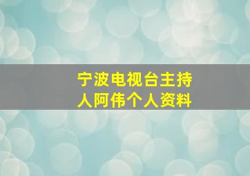 宁波电视台主持人阿伟个人资料