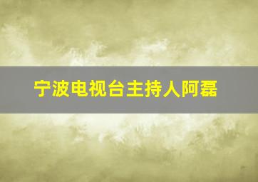 宁波电视台主持人阿磊